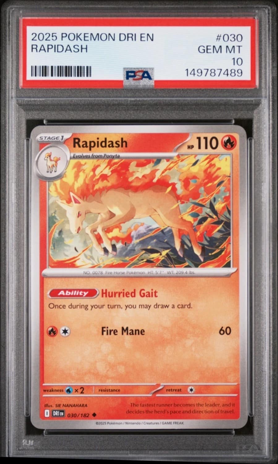 Rapidash