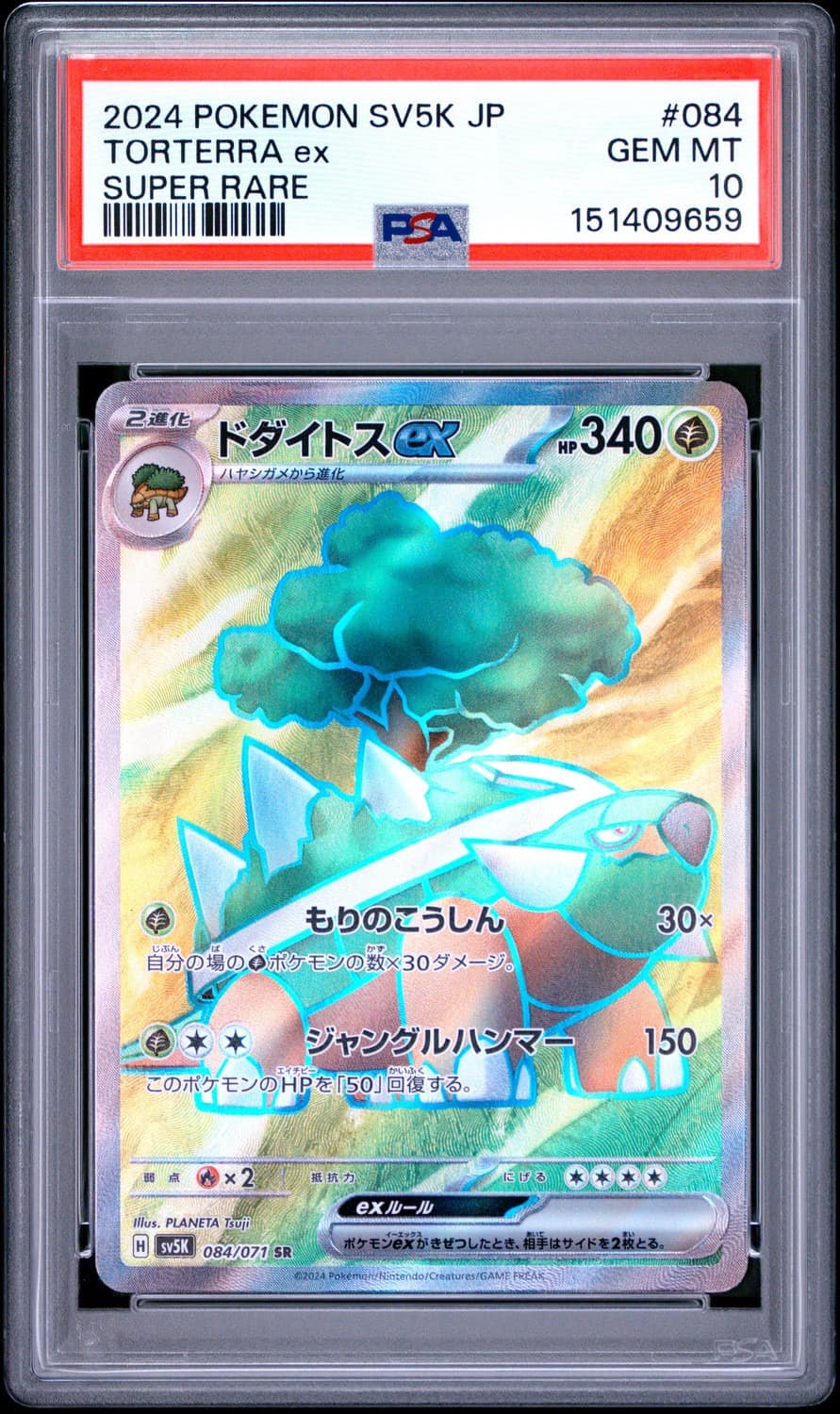 Torterra Ex