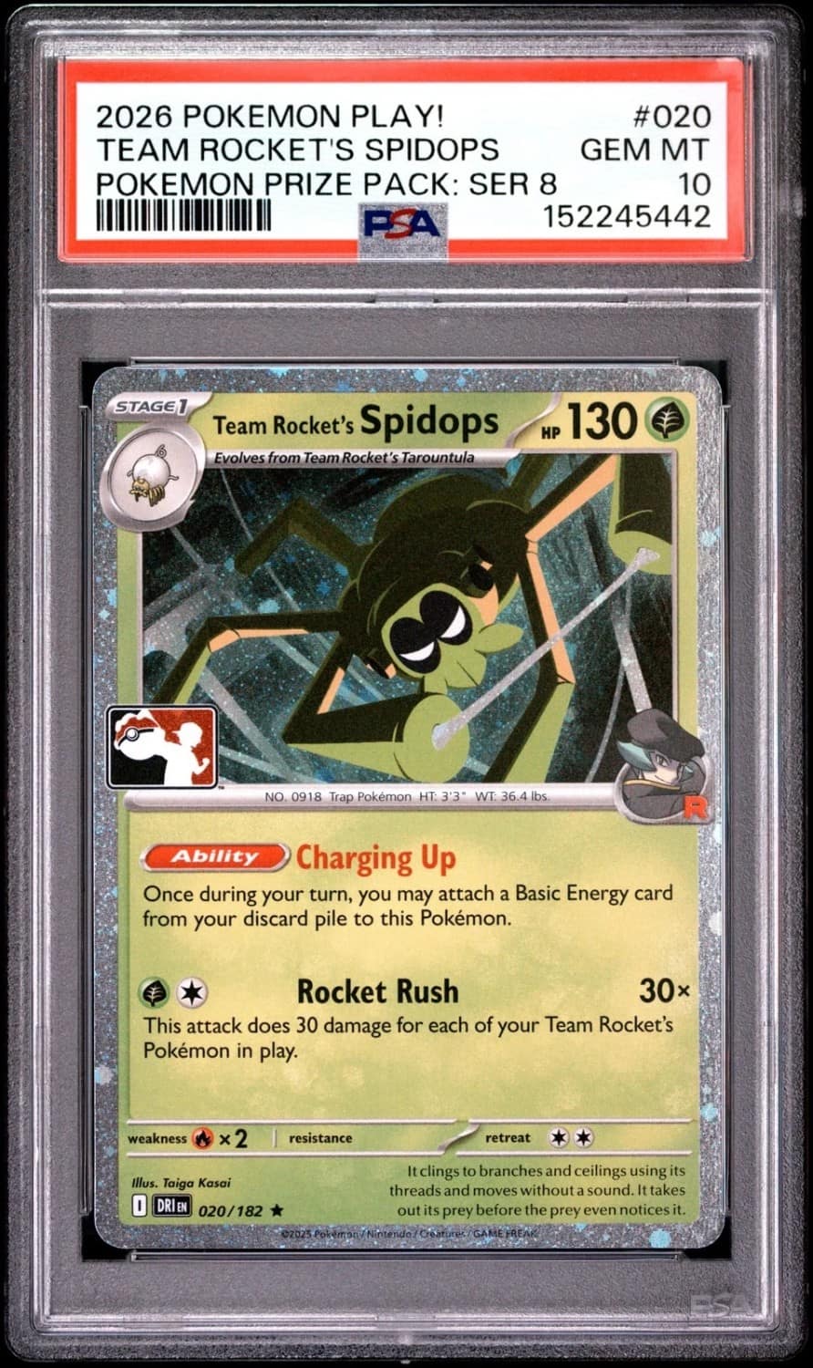 Team Rocket'S Spidops