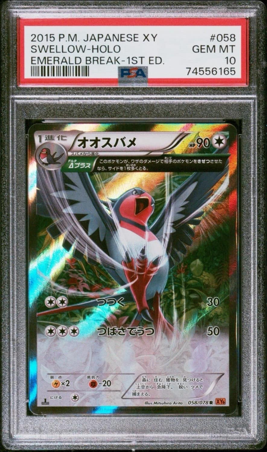 Swellow