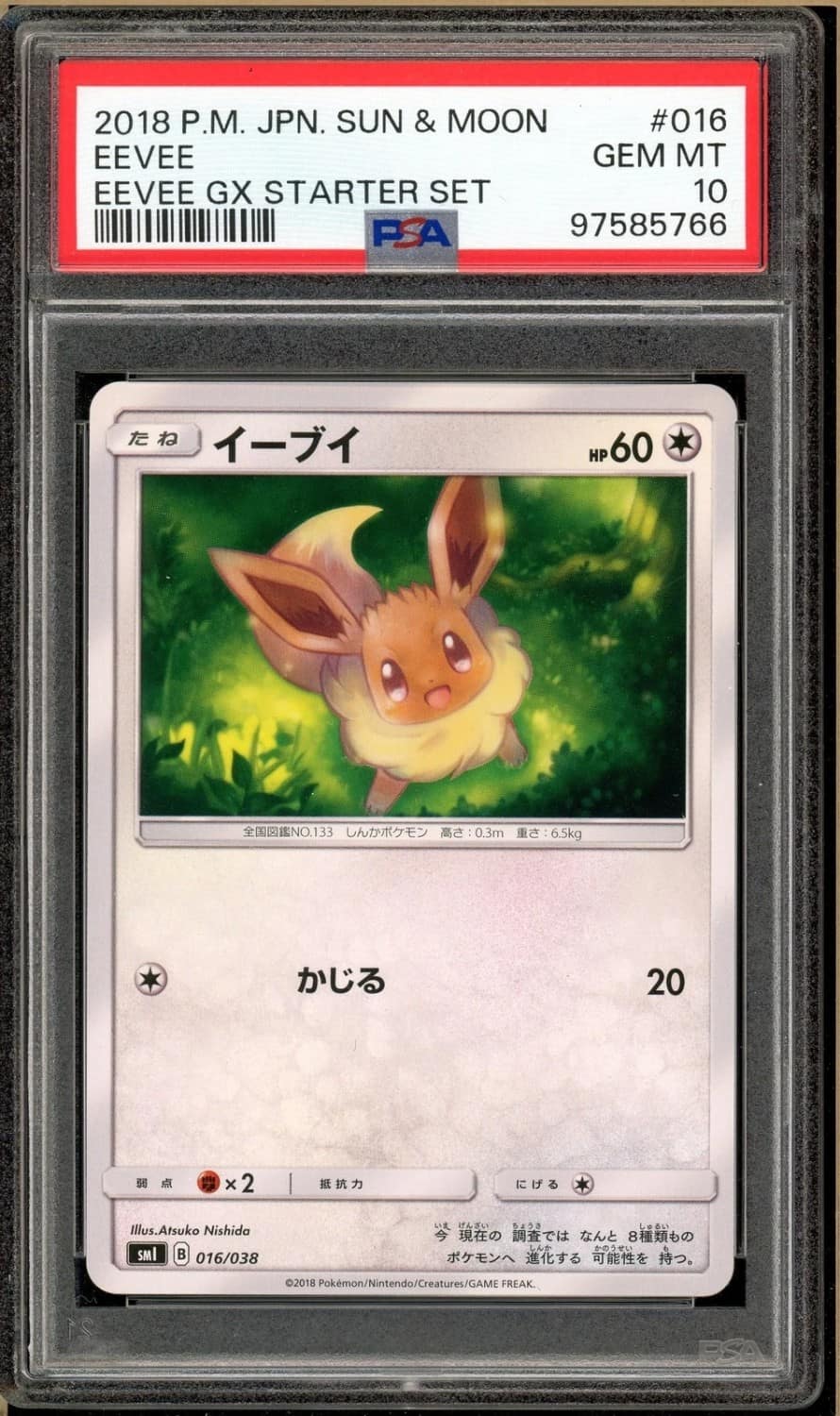Eevee