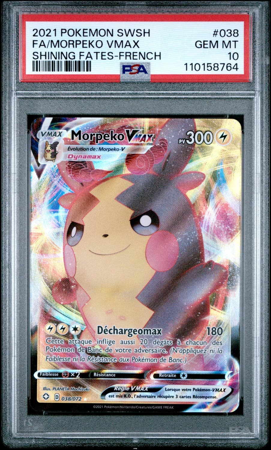 Morpeko Vmax