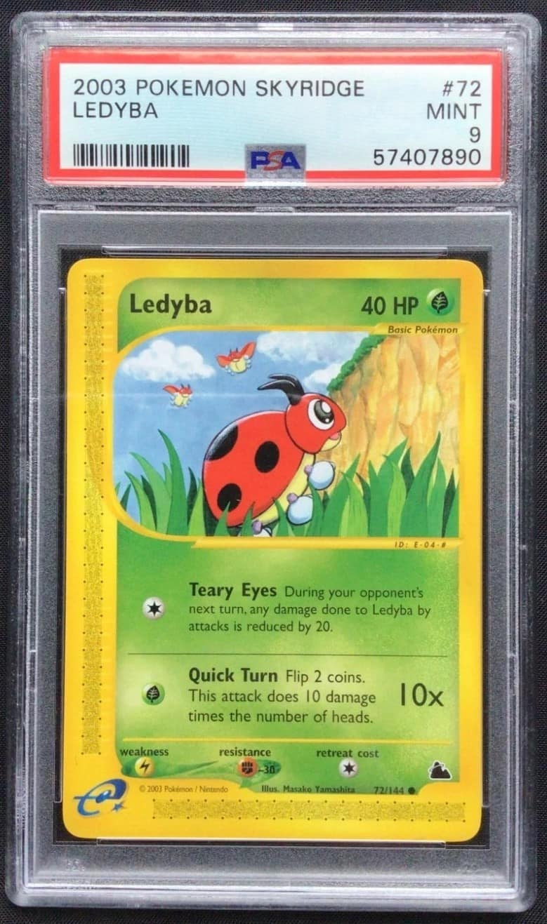 Ledyba