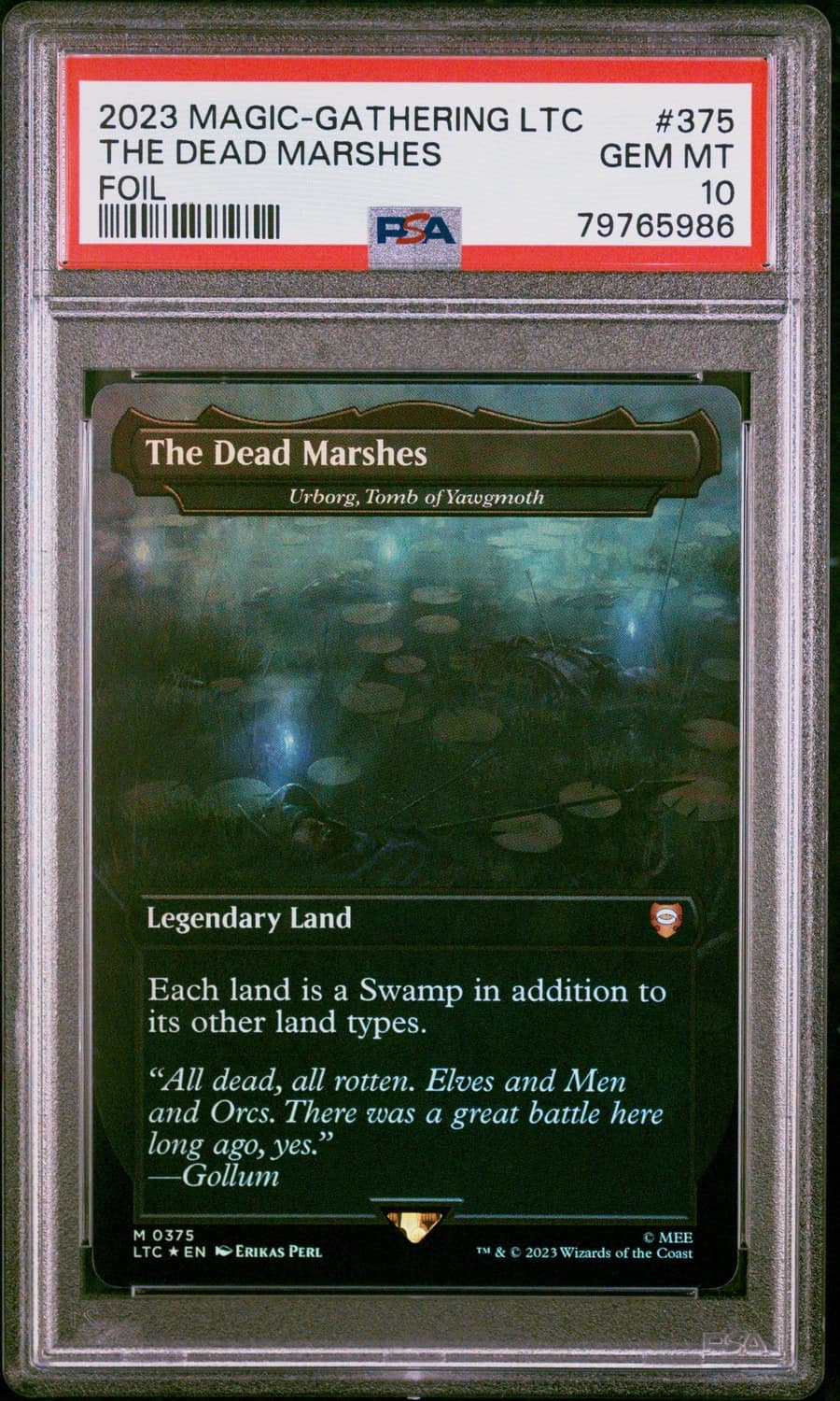 The Dead Marshes