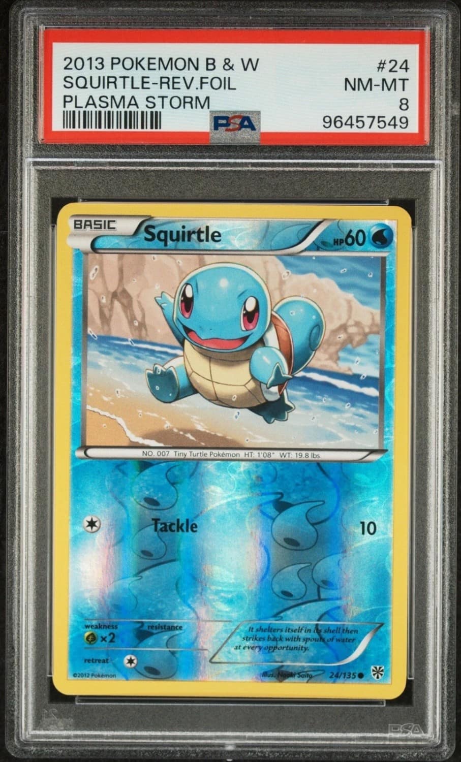 Squirtle
