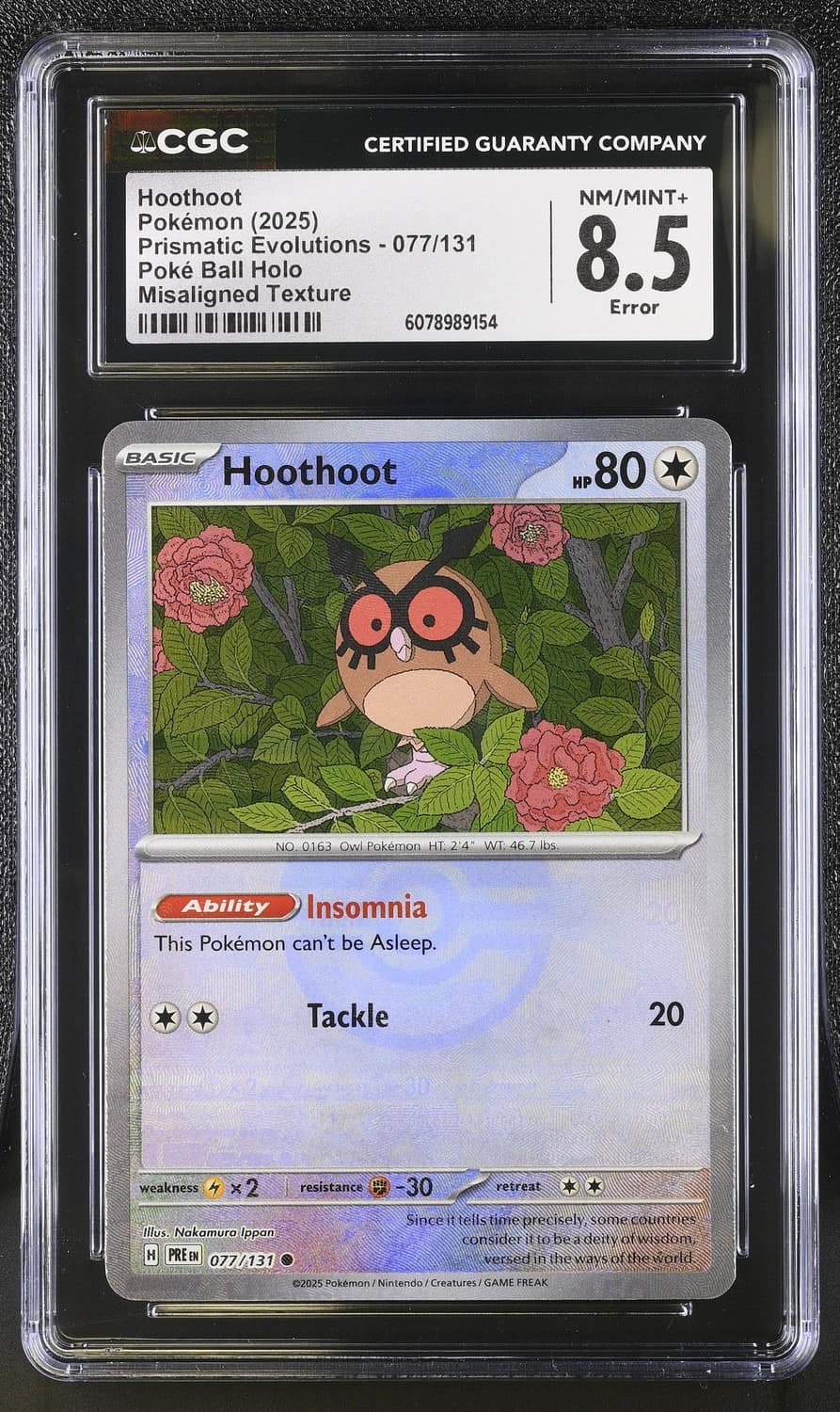 Hoothoot
