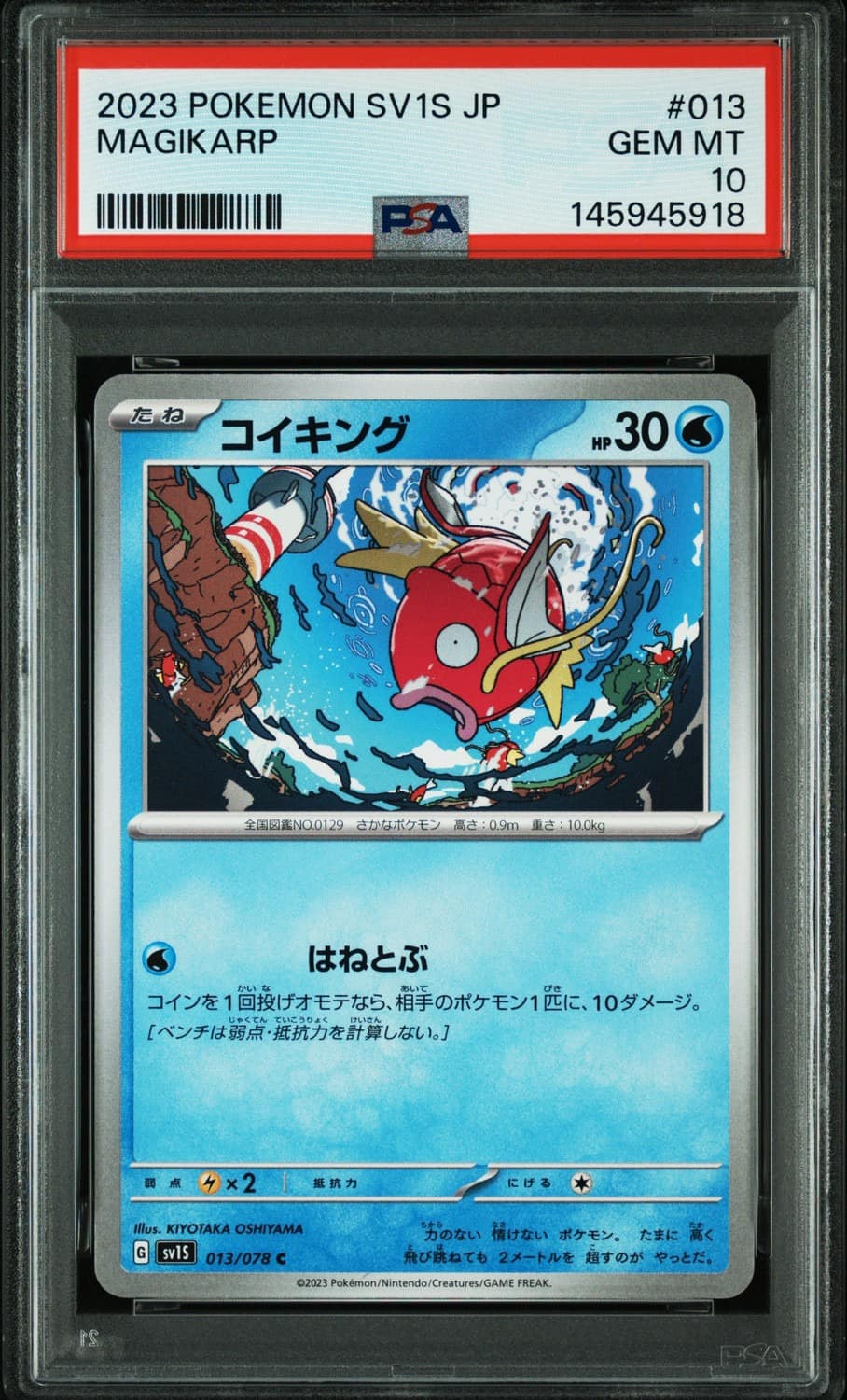 Magikarp