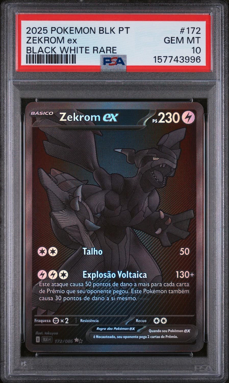 Zekrom Ex