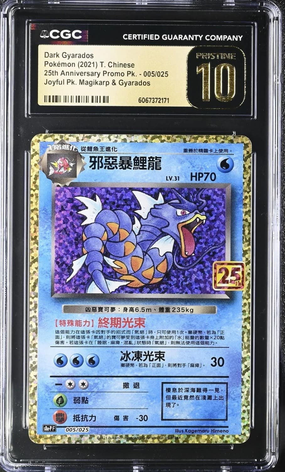 Dark Gyarados