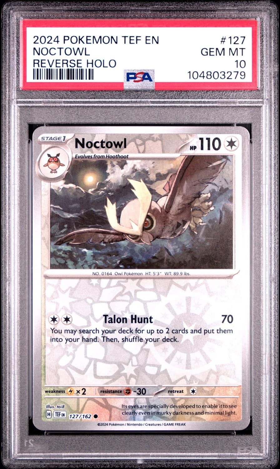 Noctowl