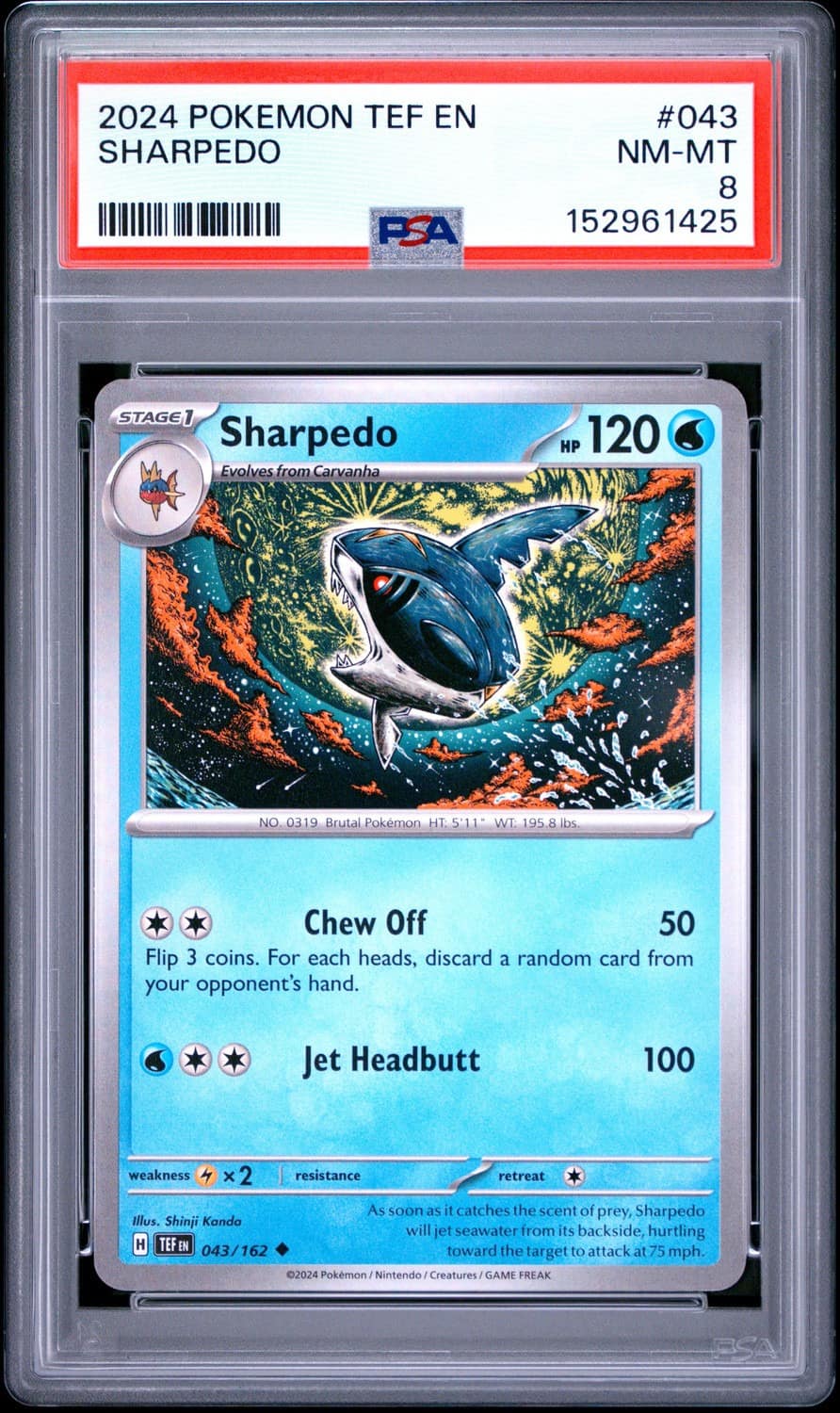 Sharpedo