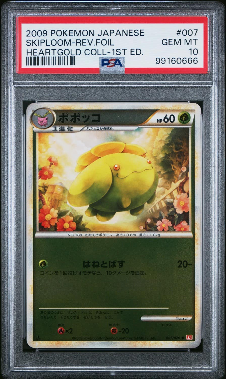 Skiploom