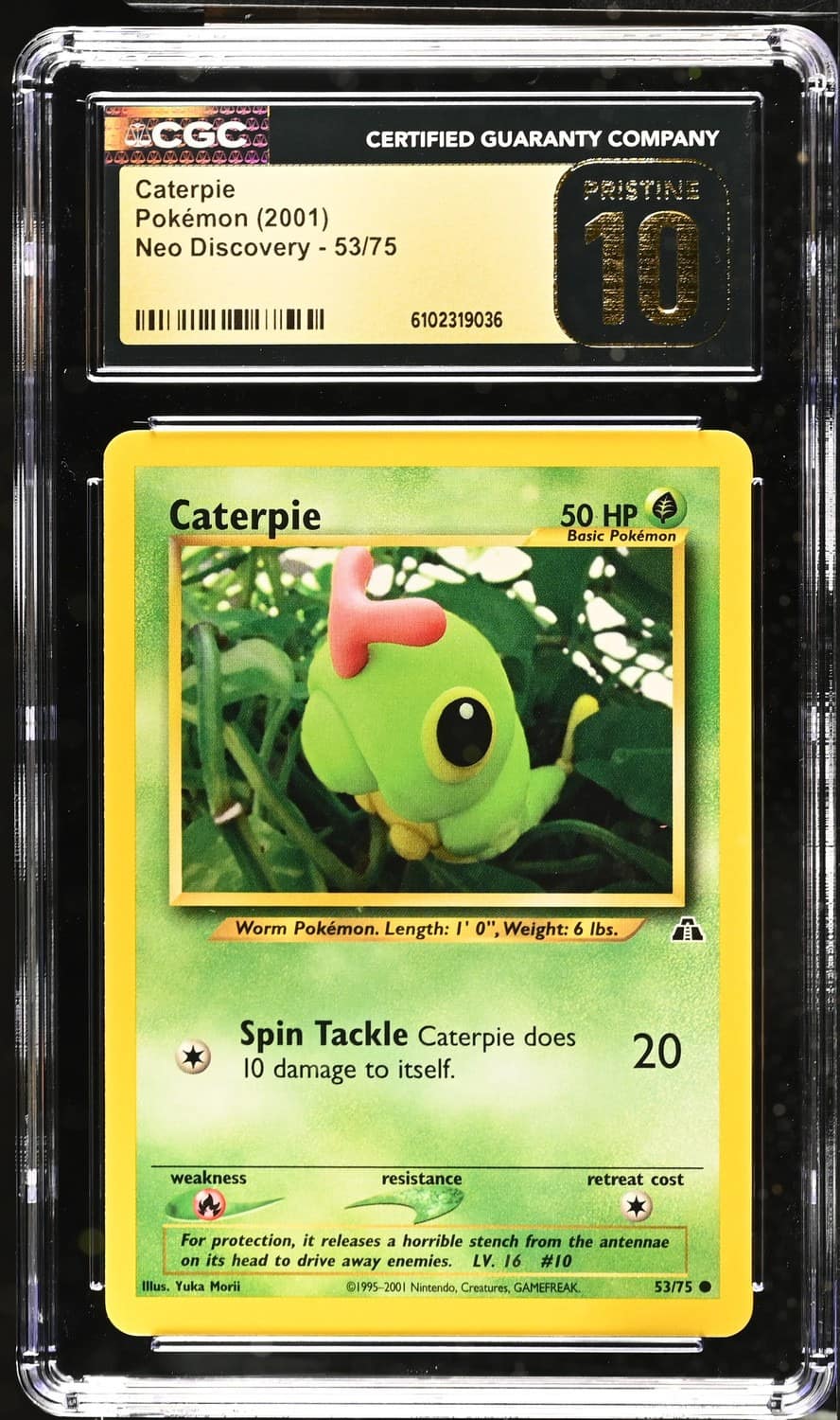 Caterpie