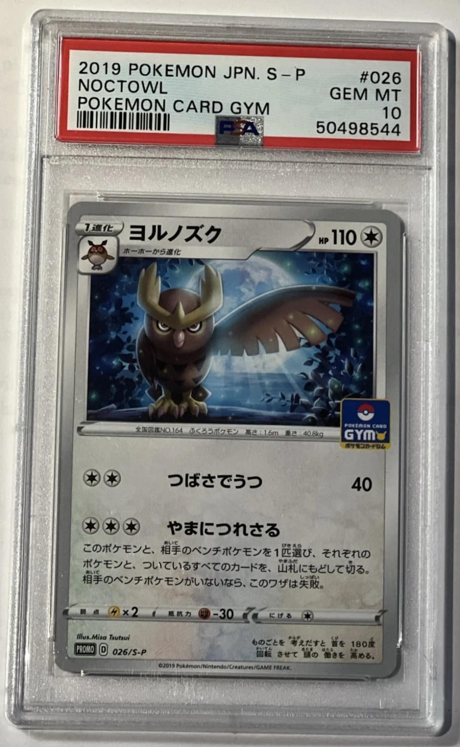 Noctowl
