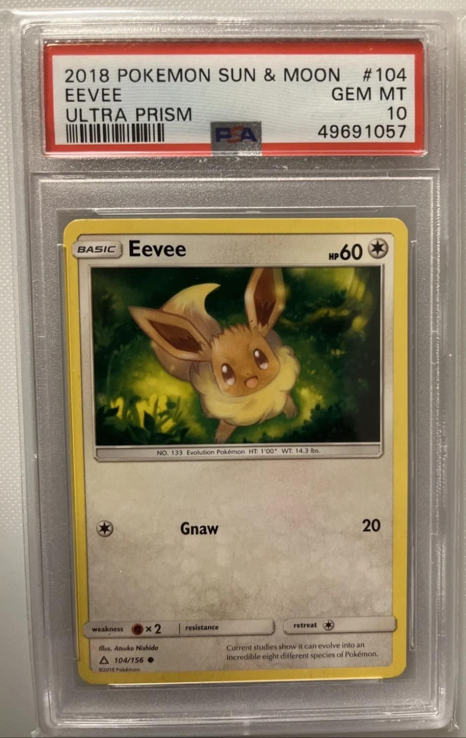 Eevee