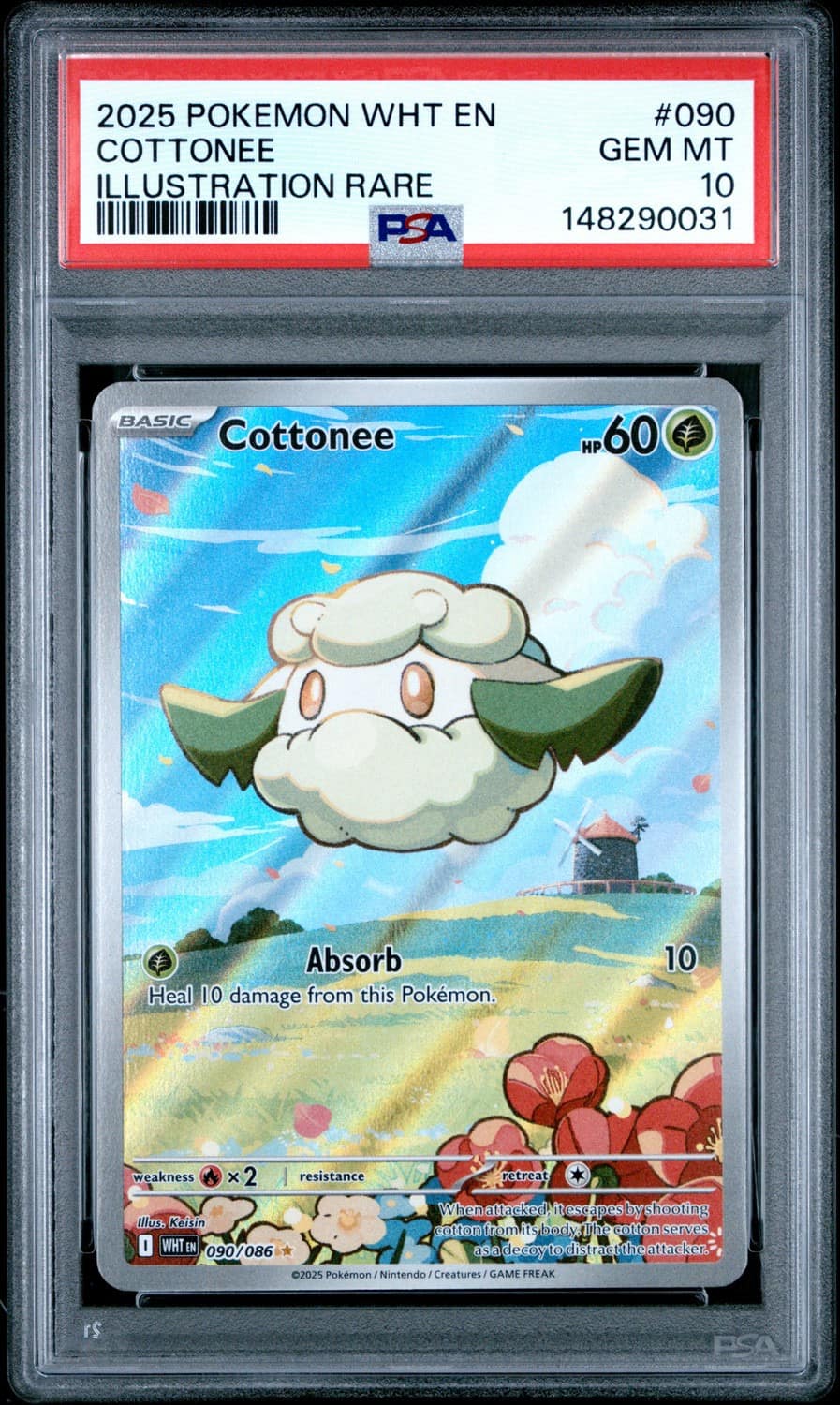 Cottonee