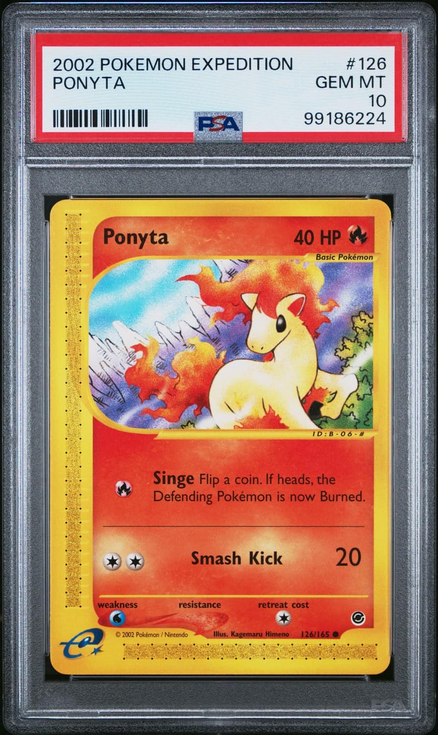Ponyta