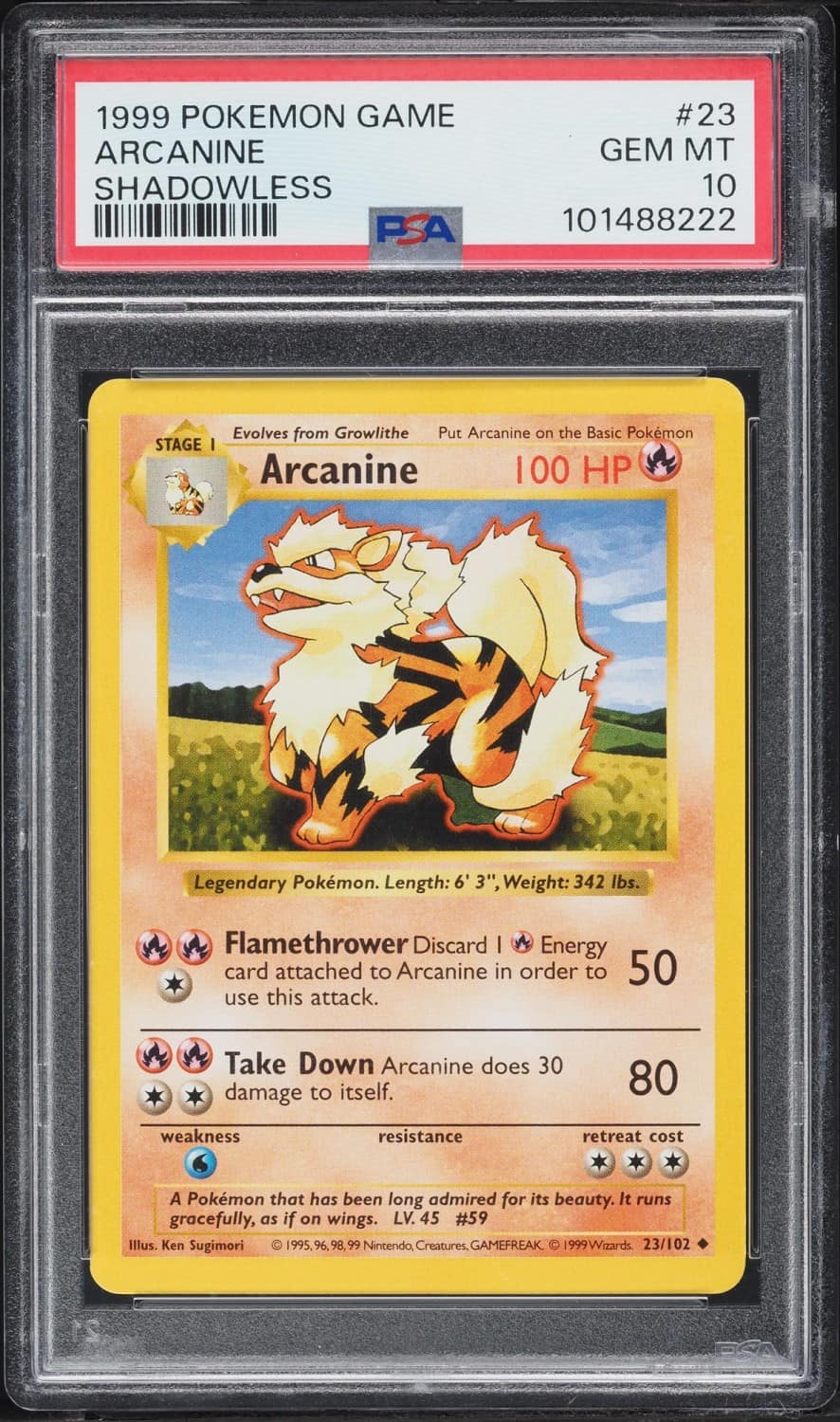 Arcanine