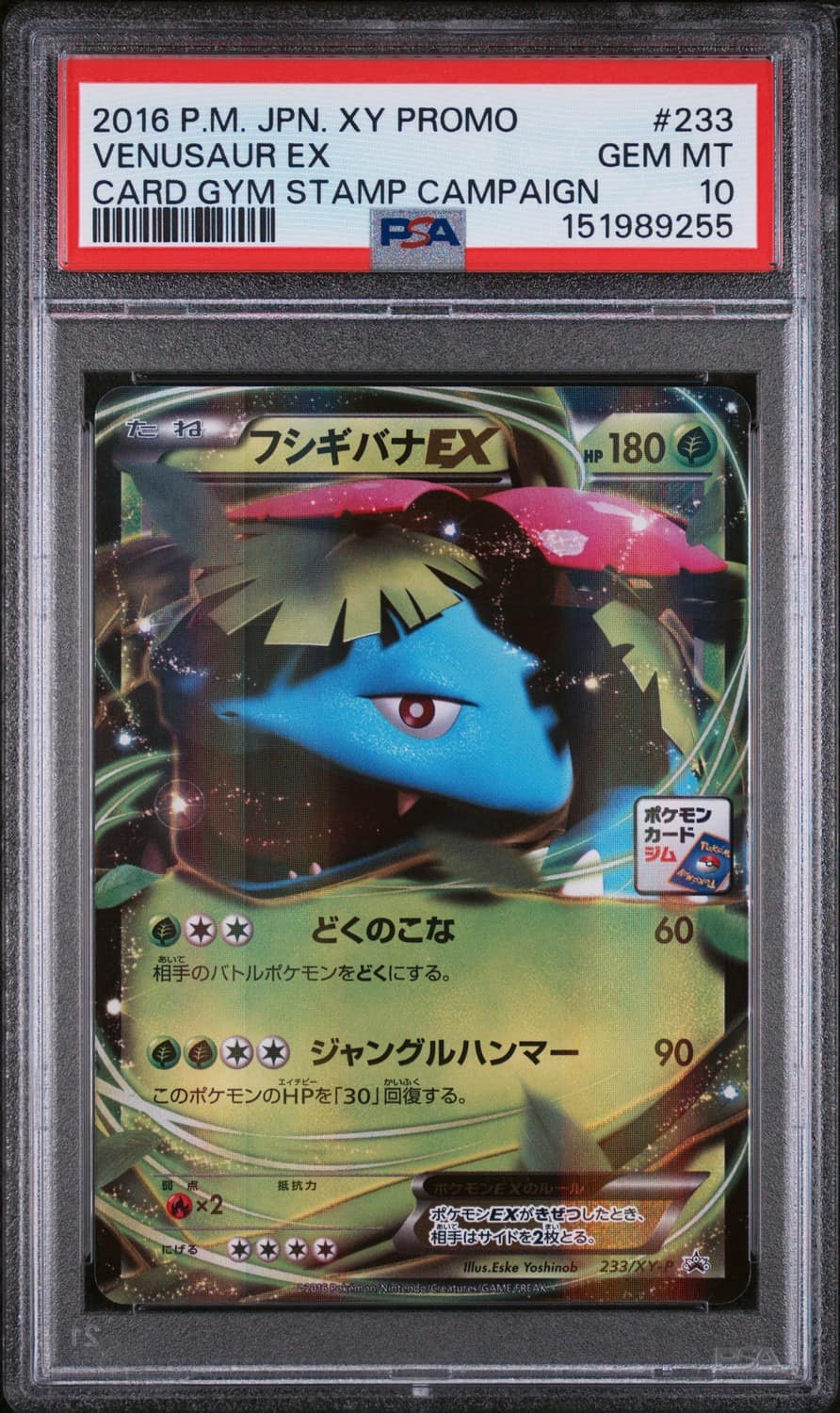 Venusaur Ex