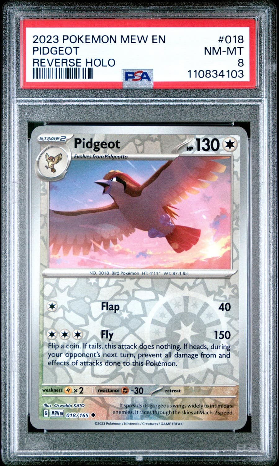 Pidgeot