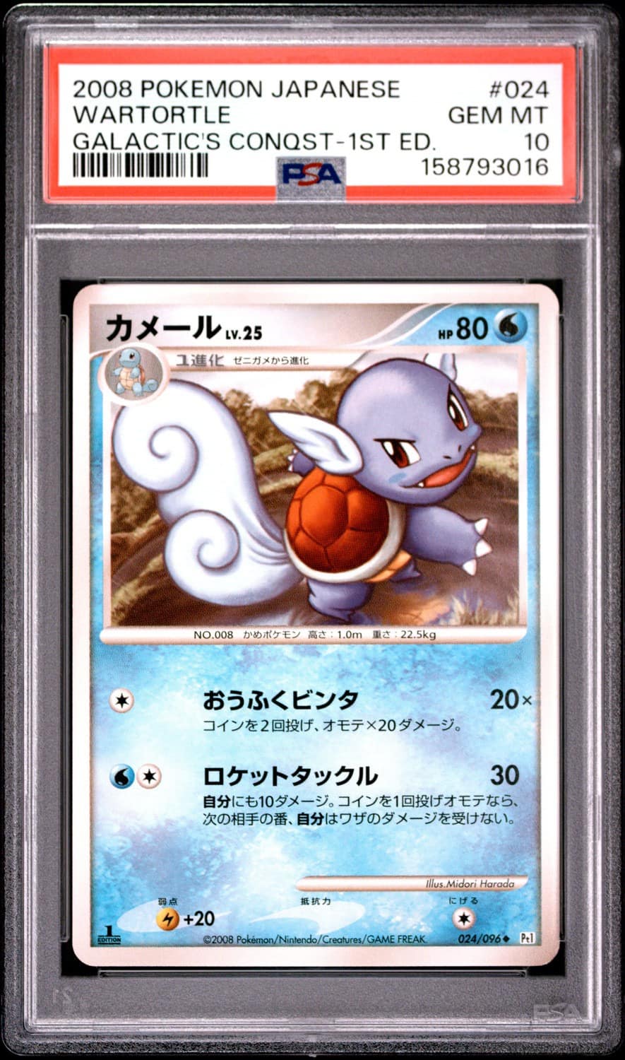 Wartortle