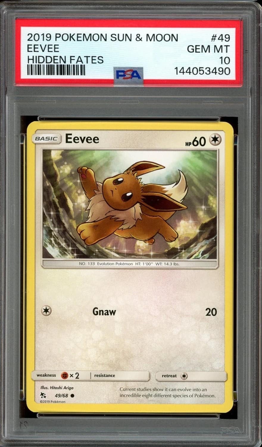 Eevee
