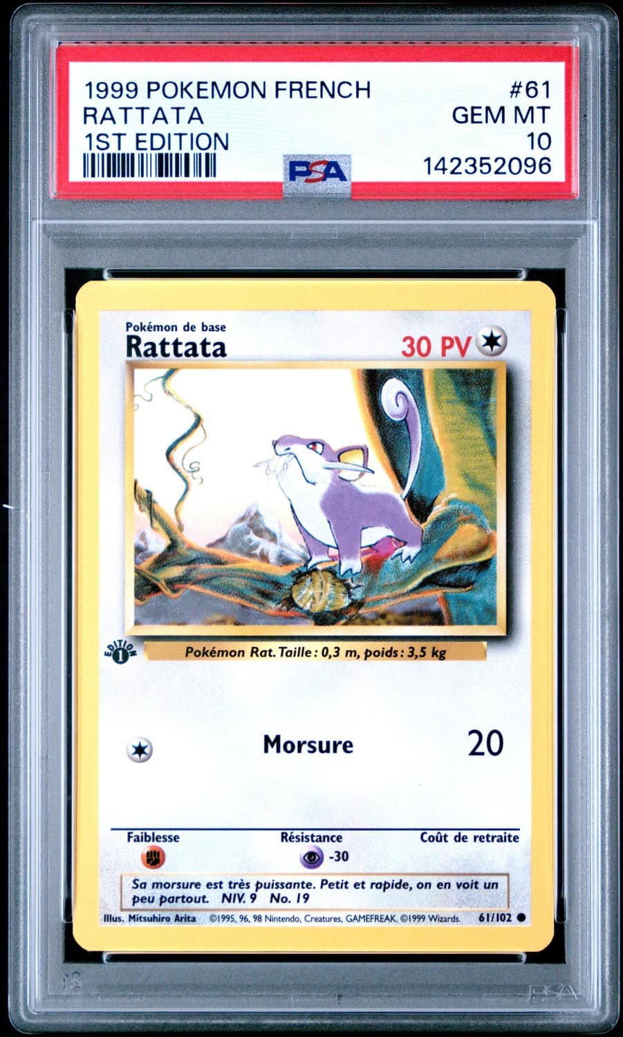 Rattata