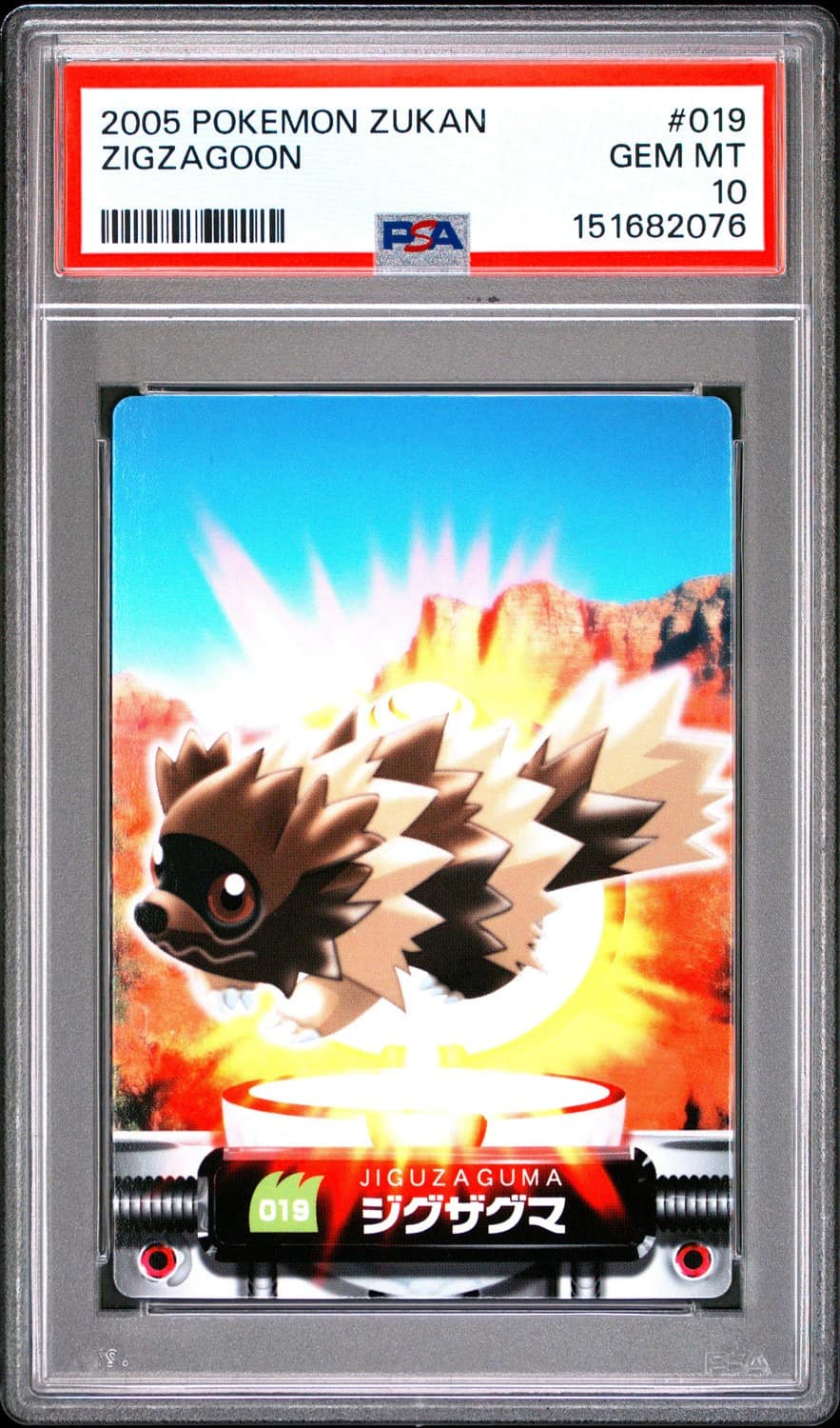 Zigzagoon