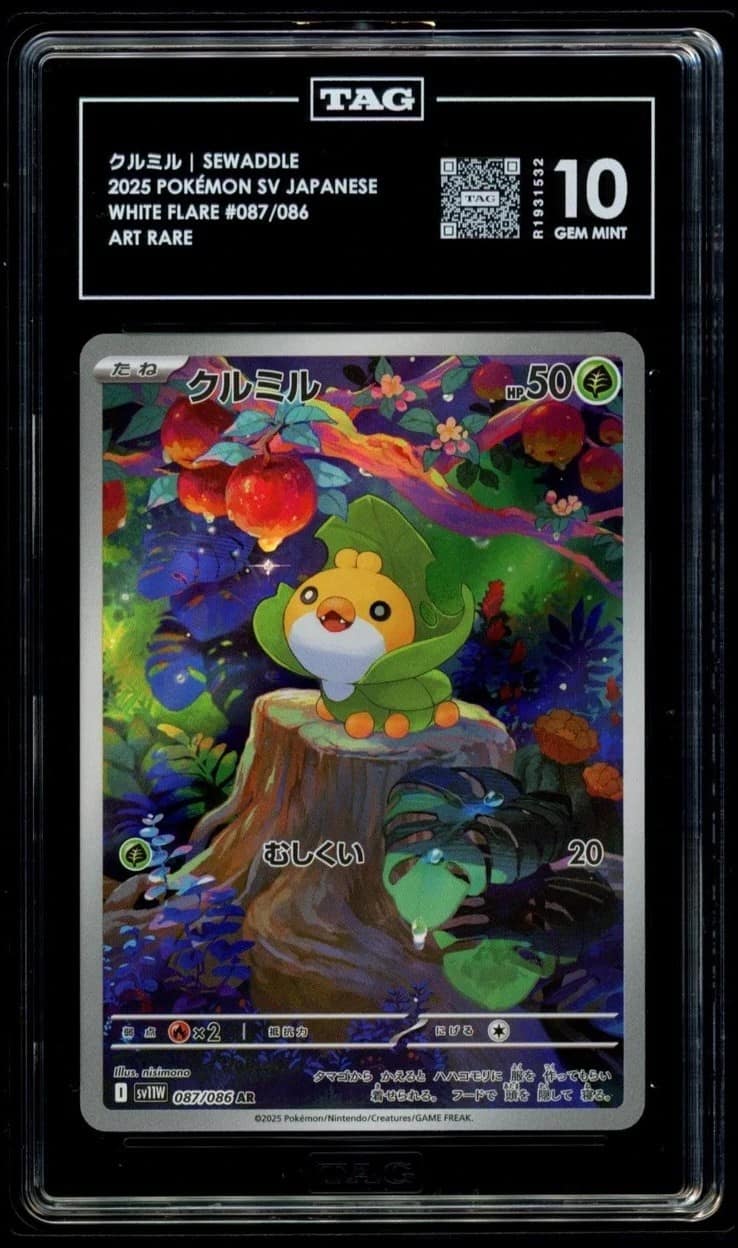 Sewaddle