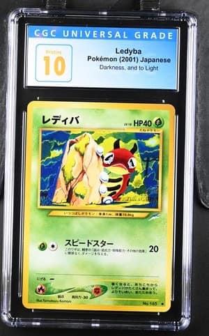 Ledyba