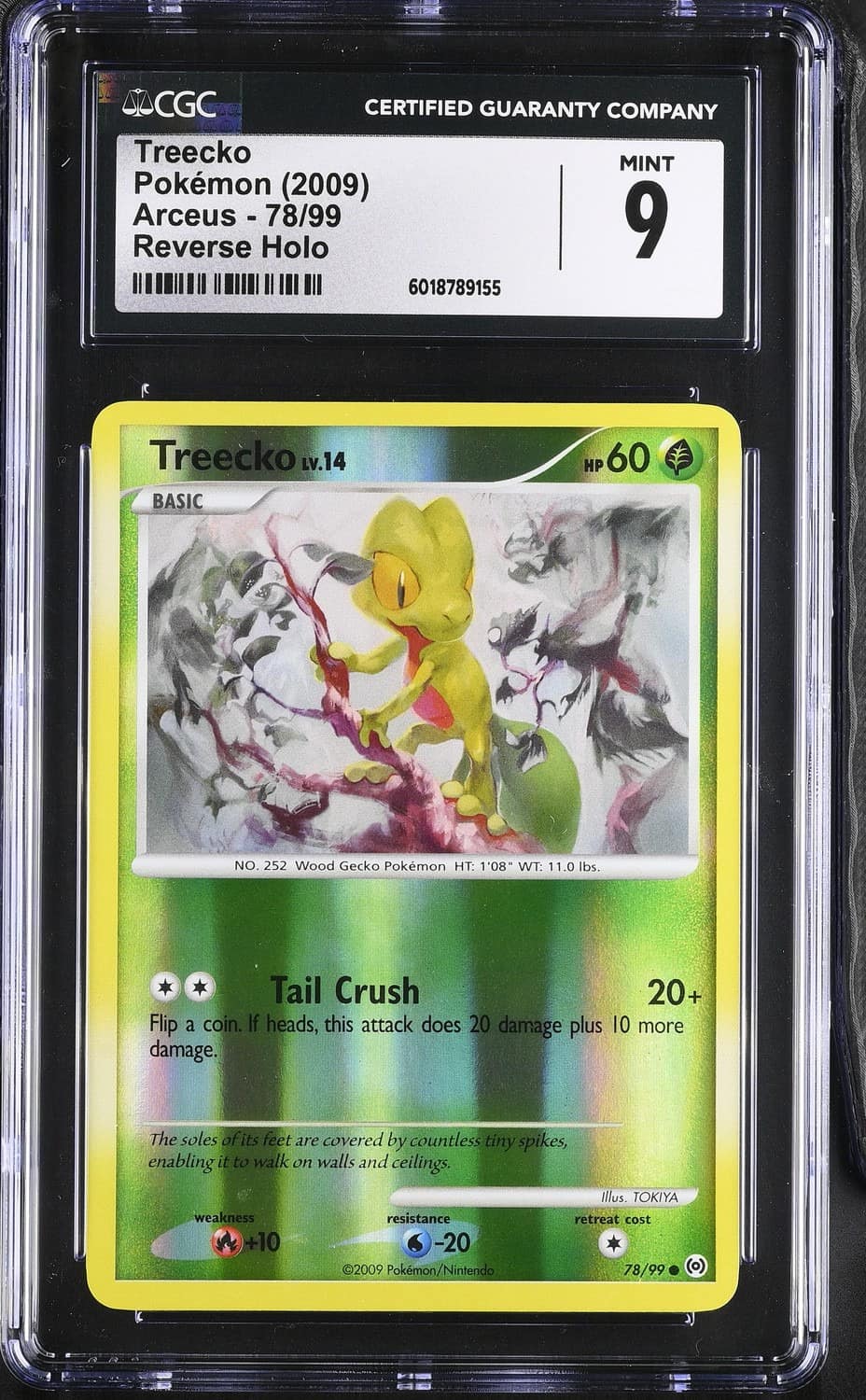 Treecko