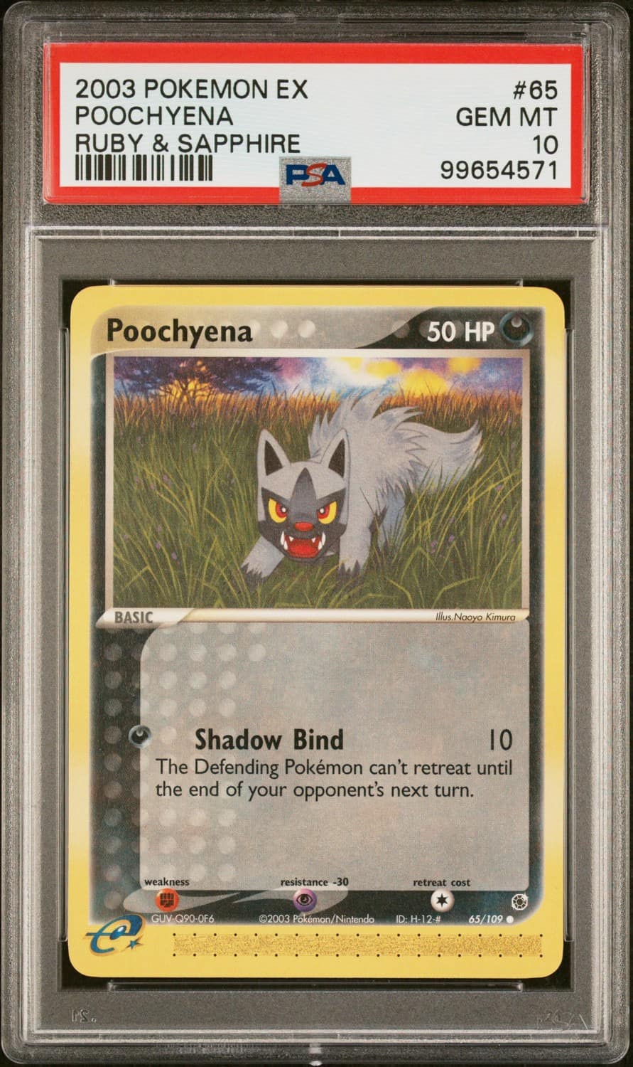 Poochyena