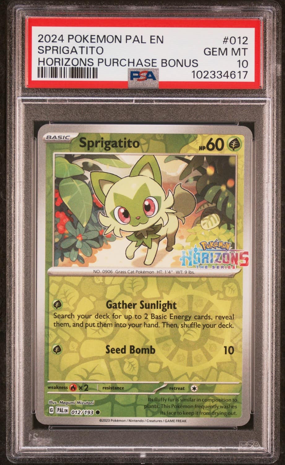 Sprigatito