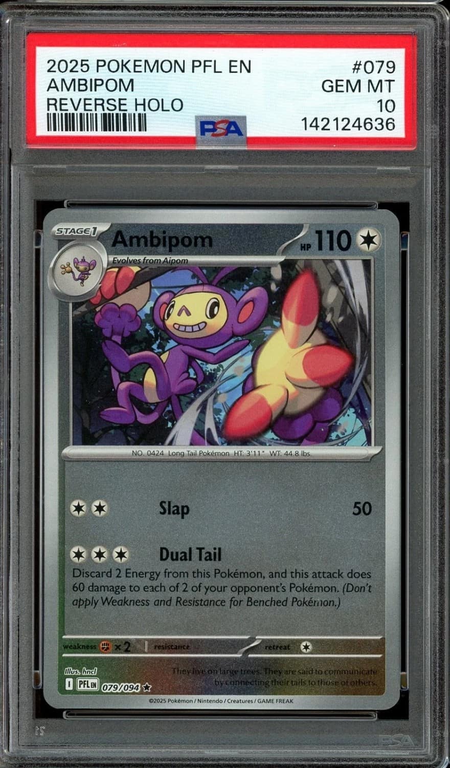Ambipom