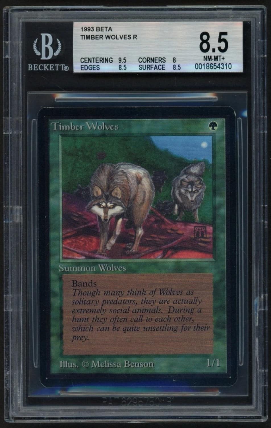 Timber Wolves