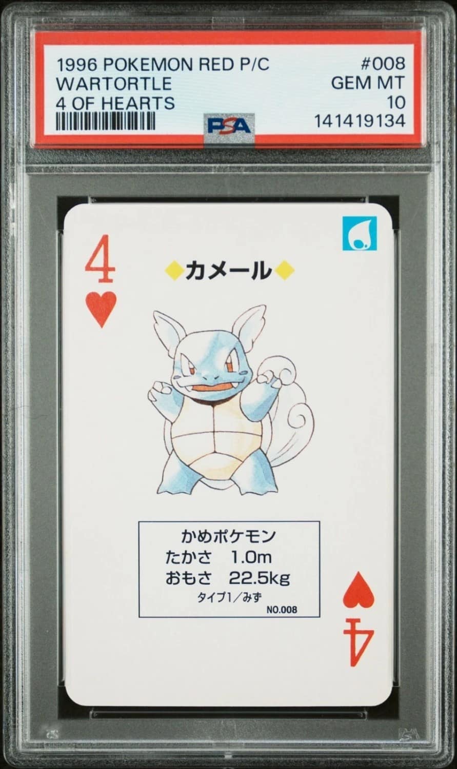 Wartortle