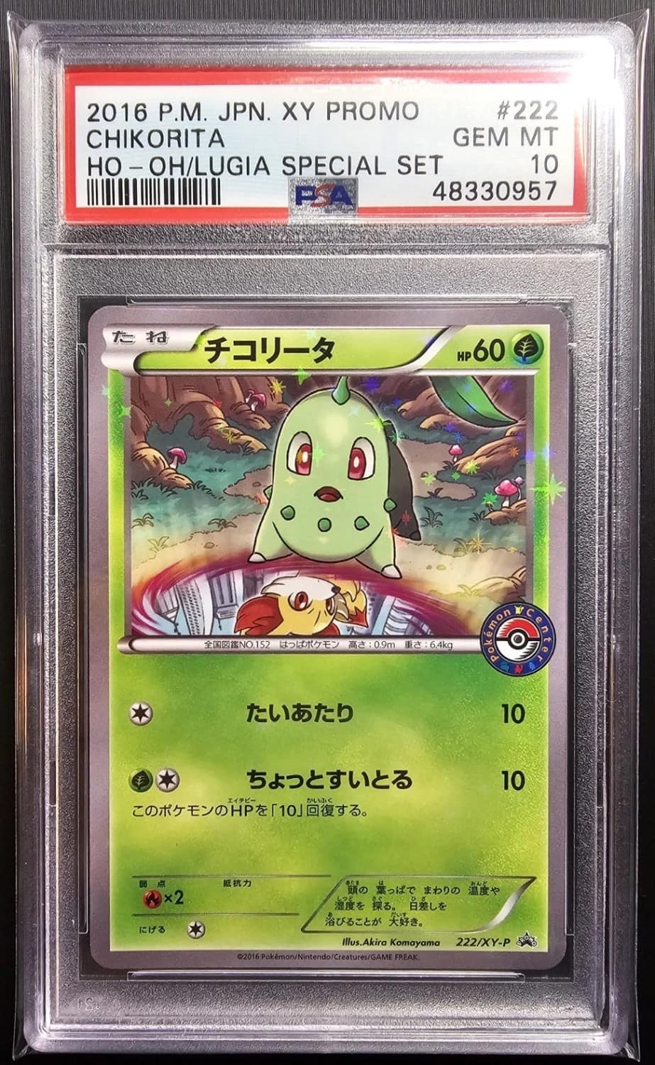 Chikorita