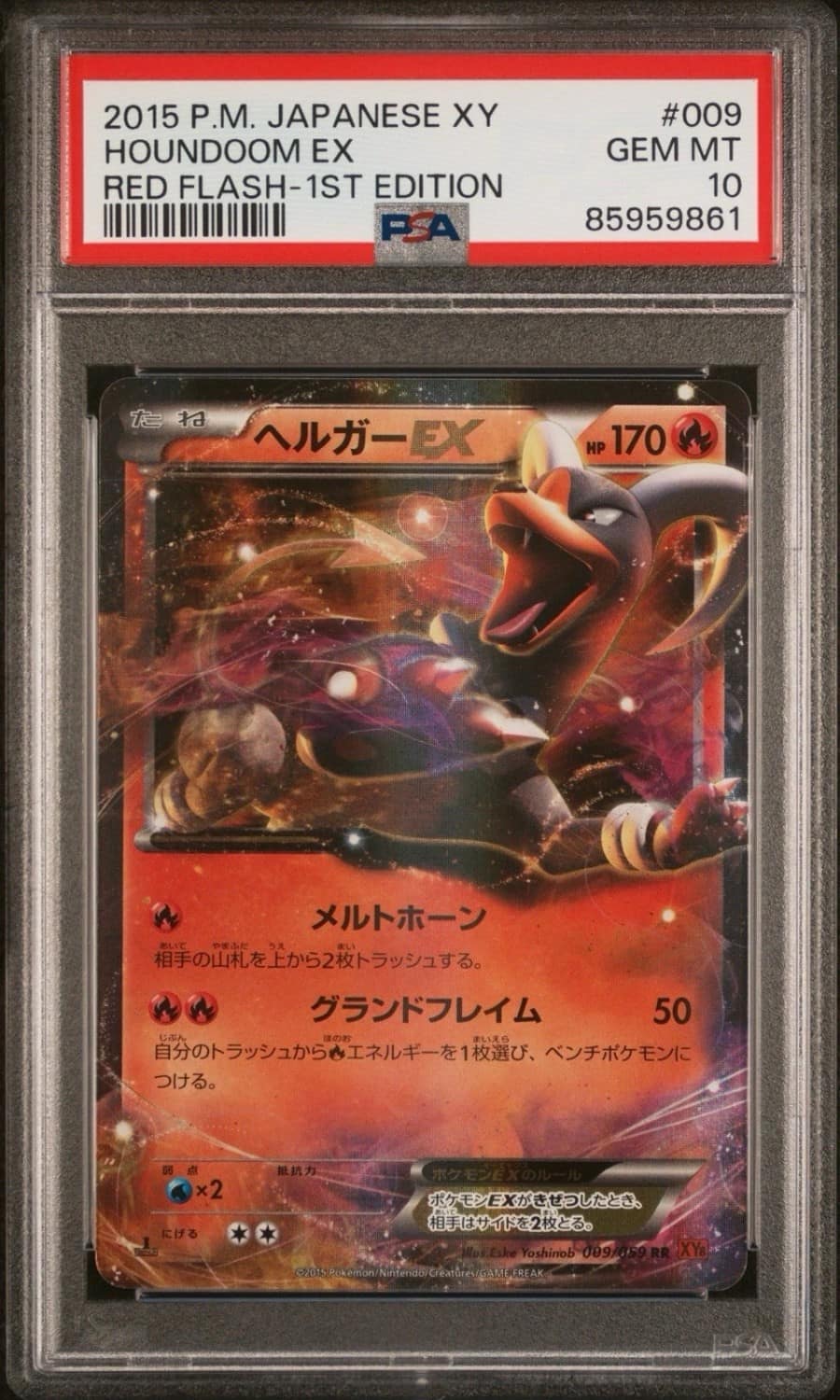 Houndoom Ex
