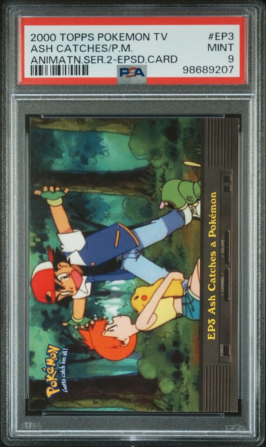 Veronica Taylor