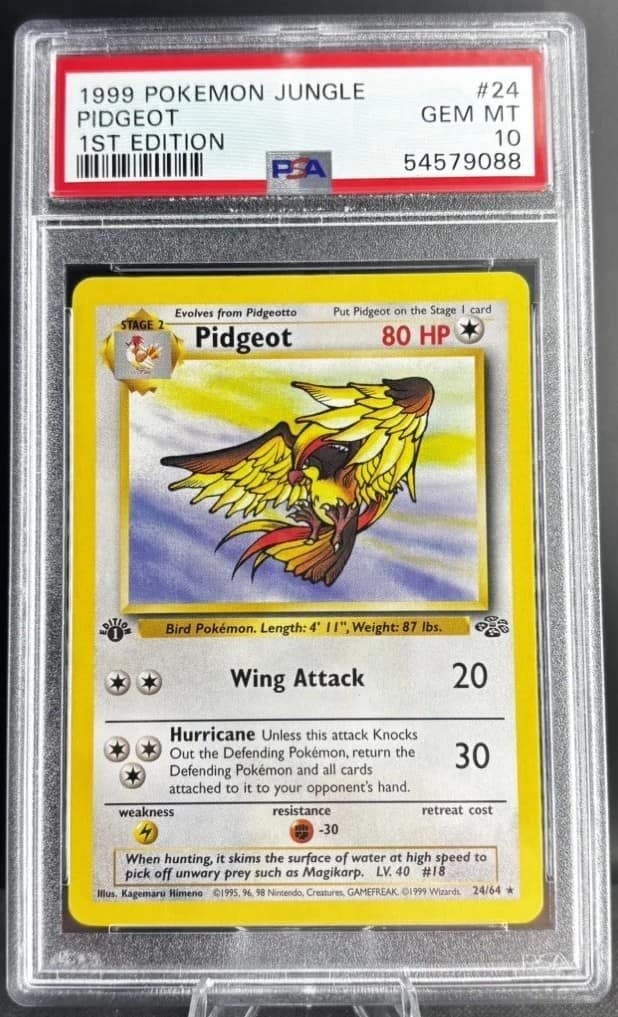 Pidgeot