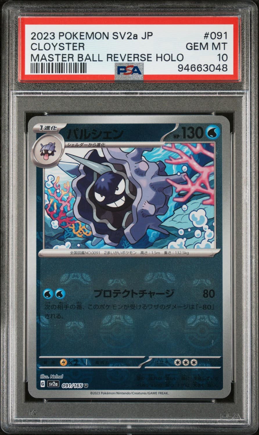 Cloyster