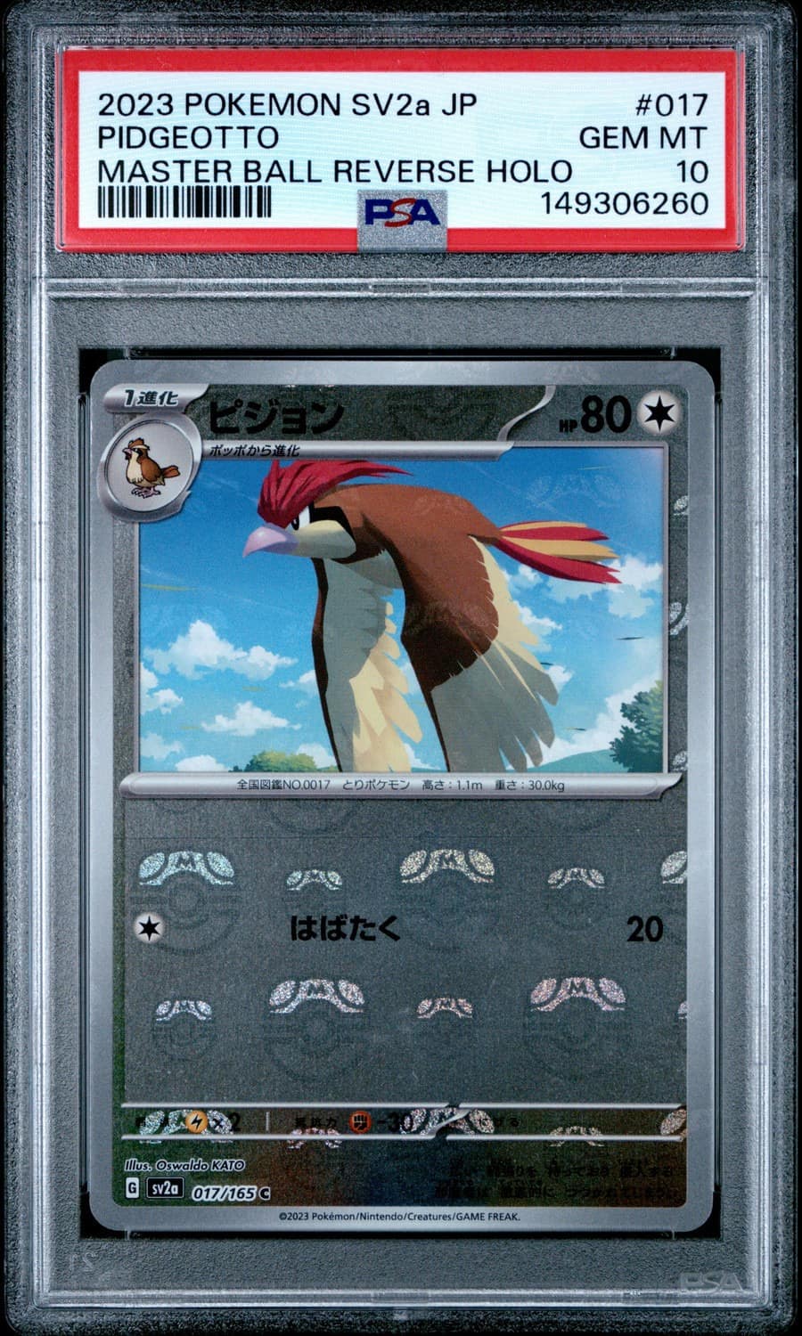 Pidgeotto