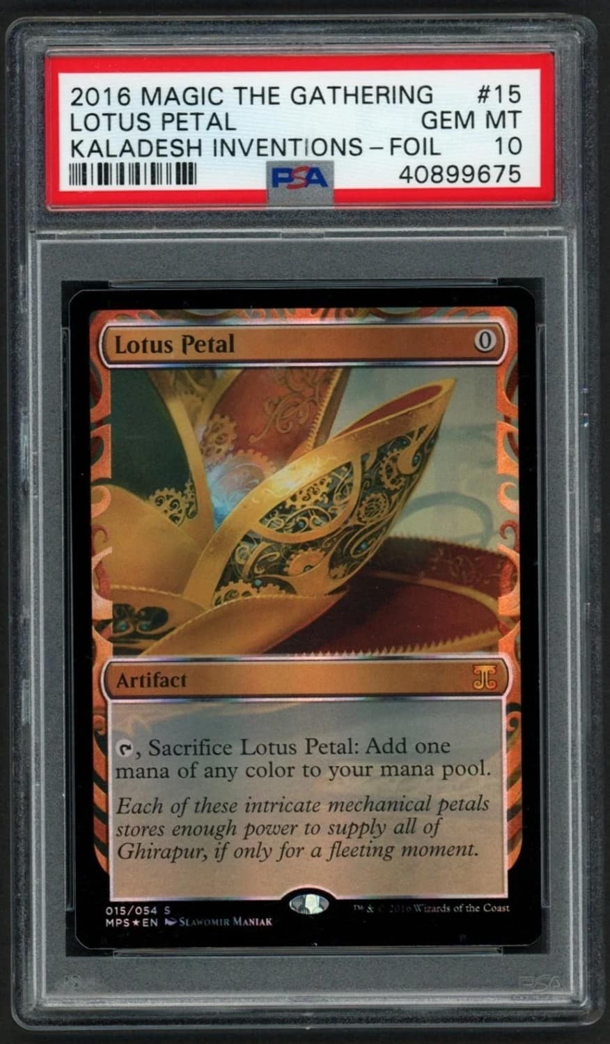 Lotus Petal