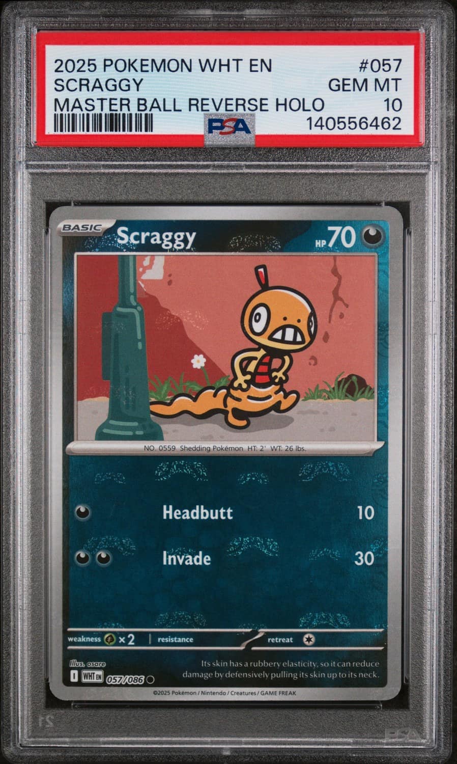 Scraggy