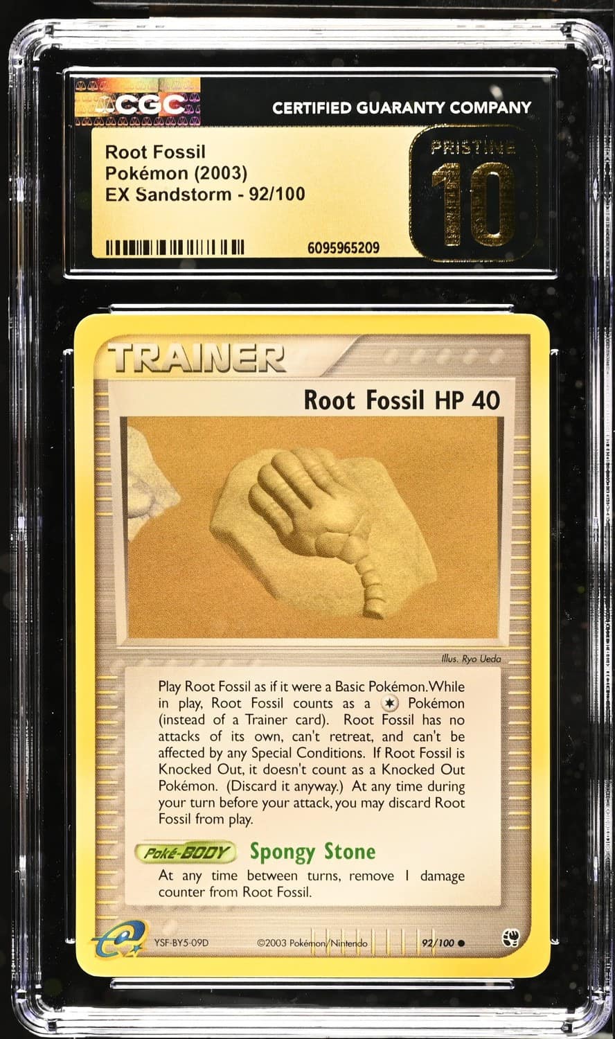 Root Fossil