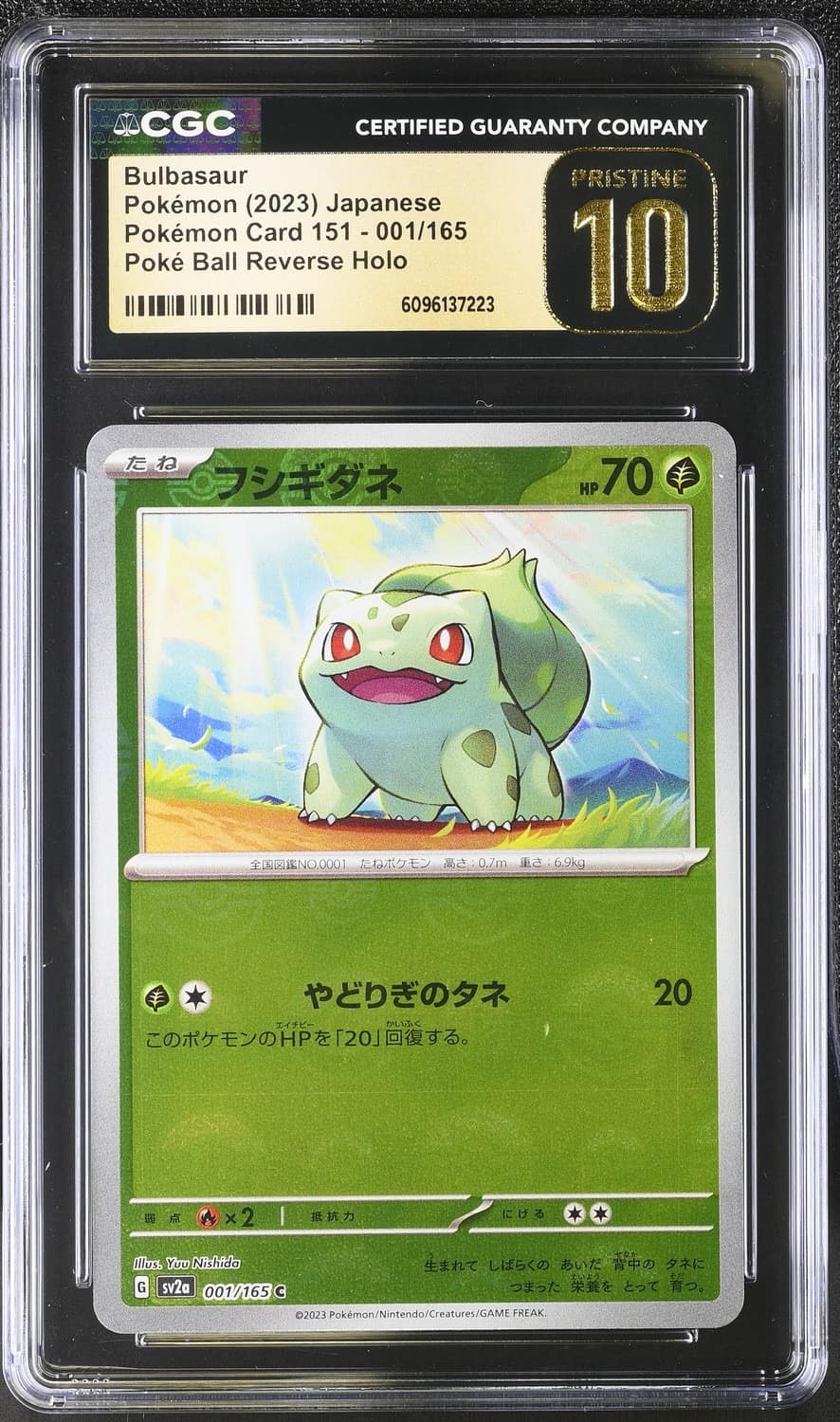Bulbasaur