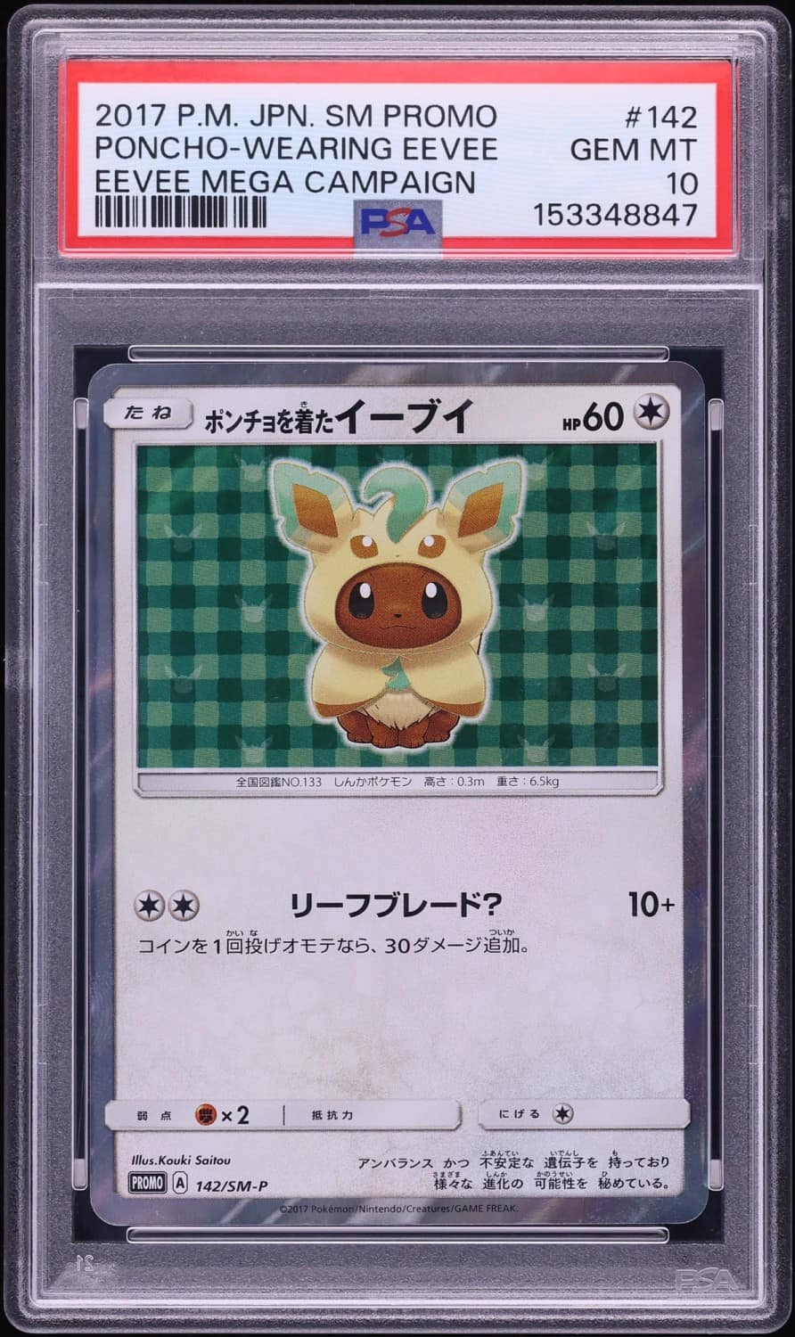 Poncho-Wearing Eevee