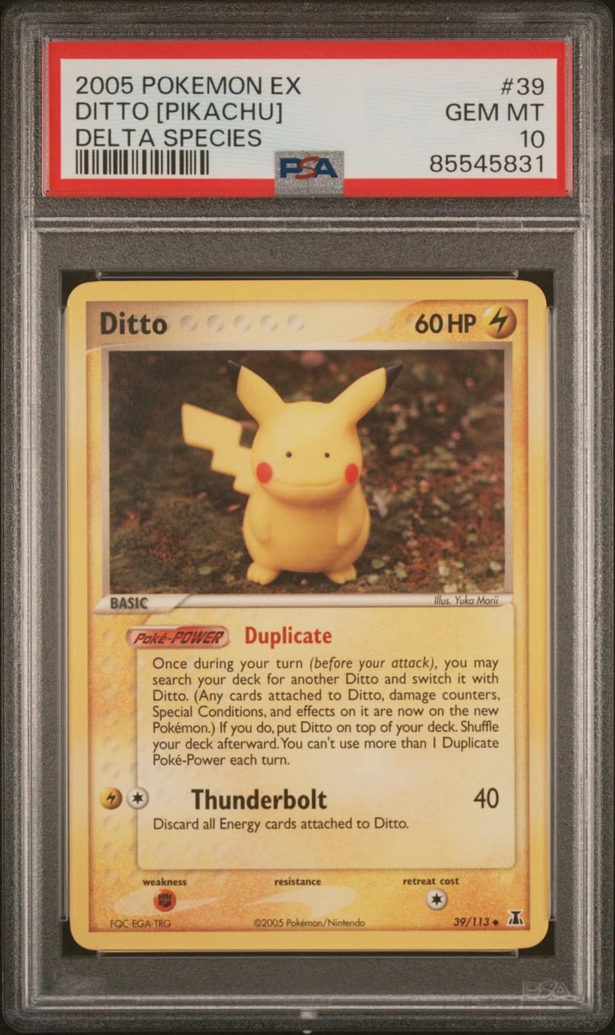 Ditto