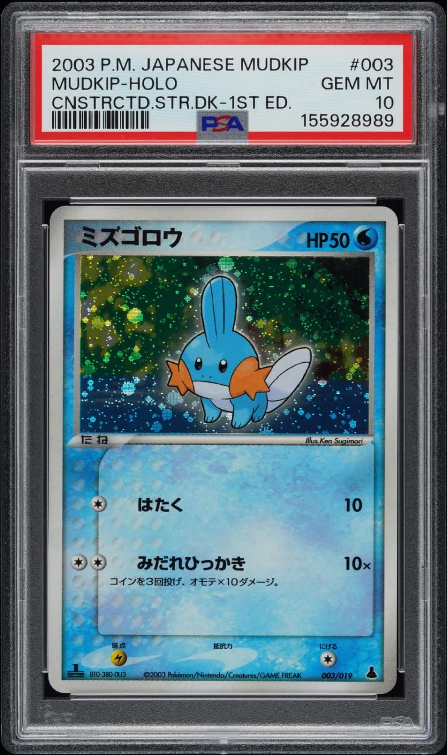Mudkip