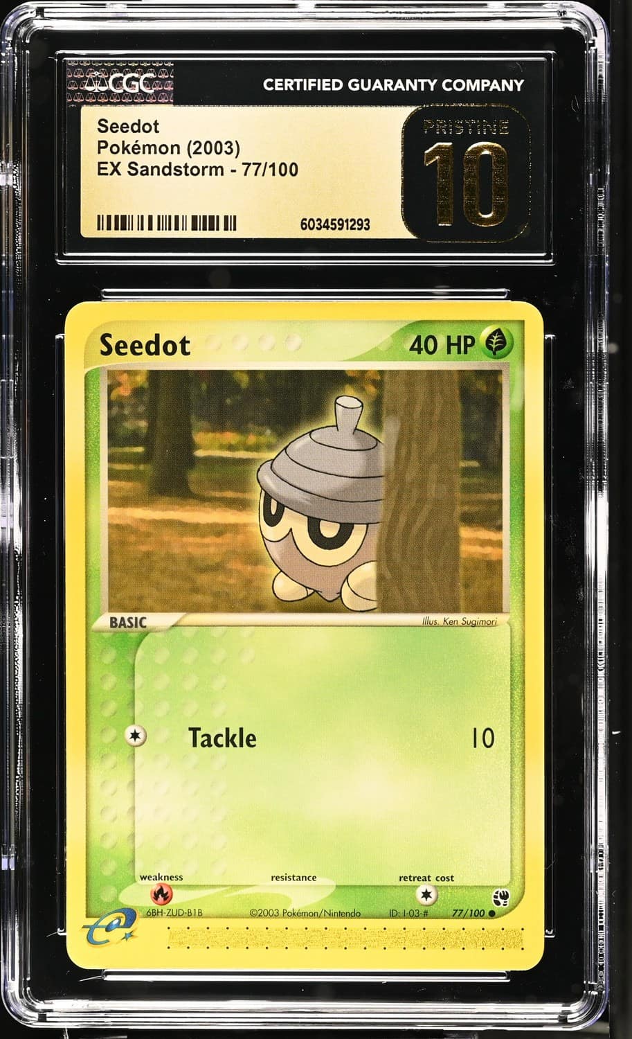 Seedot